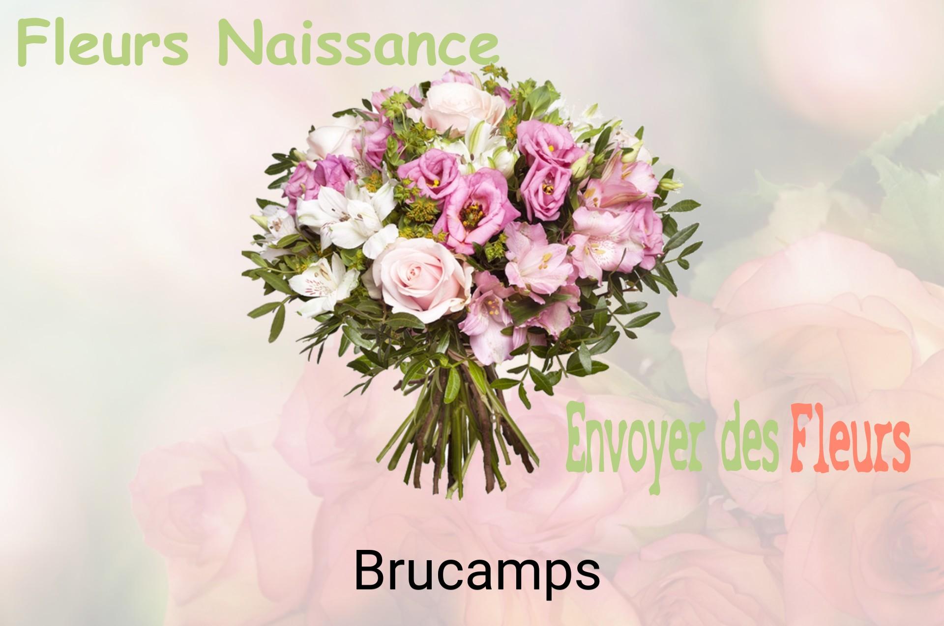 Bouquet de fleurs de naissance livré à Brucamps
