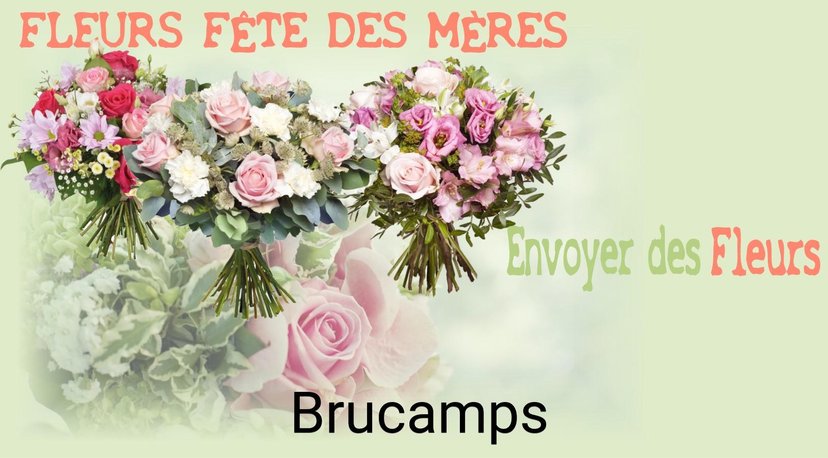 Bouquet de Fête des Mères livré à Brucamps